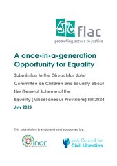 Submission to the Oireachtas Joint Committee on Children and Equality about the General Scheme of the  Equality (Miscellaneous Provisions) Bill 2024
